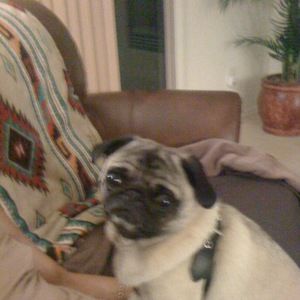 Meet your Posher, Pretty